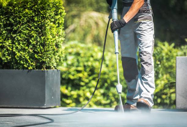 Best Gutter Cleaning  in North Ridgeville, OH