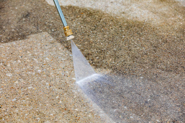 Animal Enclosure Cleaning in North Ridgeville, OH